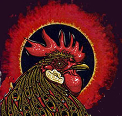 SAN JOSÉ ROCK 2011