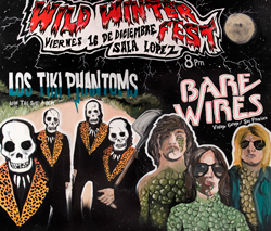 WILD WINTER FEST, NUEVO FESTIVAL GARAJERO