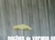 Foto relacionada